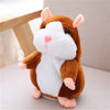 Little Talking Hamster
