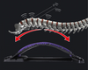 Ez-SPINE™ - LUMBAR RELIEF BACK STRETCHER