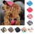 Dog Hat - Best Dog Gift