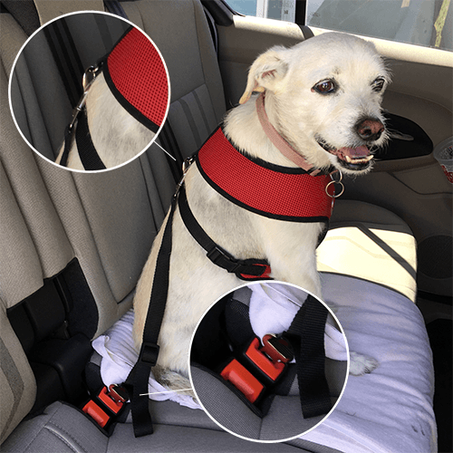 ADJUSTABLE SAFETY BELT FOR DOG