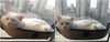 Removable Cat Hammock Bed with Soft Cushion for Car & Home Window