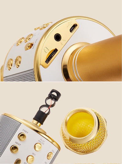 WS 858 wireless microphone professional condenser karaoke mic bluetooth stand radio mikrofon studio recording studio WS858