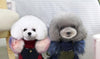 Luxury Faux Fur Collar Dog Coat - Small Dog Warm Jacket