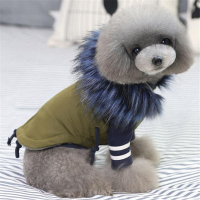 Luxury Faux Fur Collar Dog Coat - Small Dog Warm Jacket